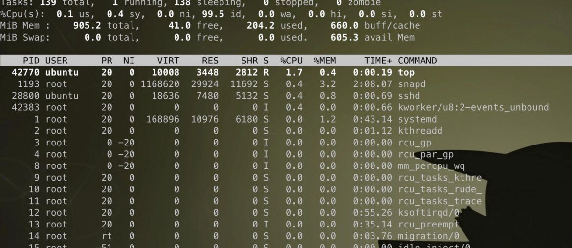 How to analyze memory usage with free linux