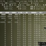 How to analyze memory usage with free linux