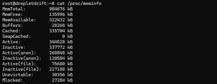 cat proc meminfo